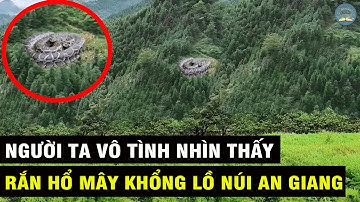 Người Ta VÔ TÌNH Nhìn Thấy Con RẮN HỔ MÂY KHỔNG LỒ Ở Núi An Giang | TUYỆT MẬT TV