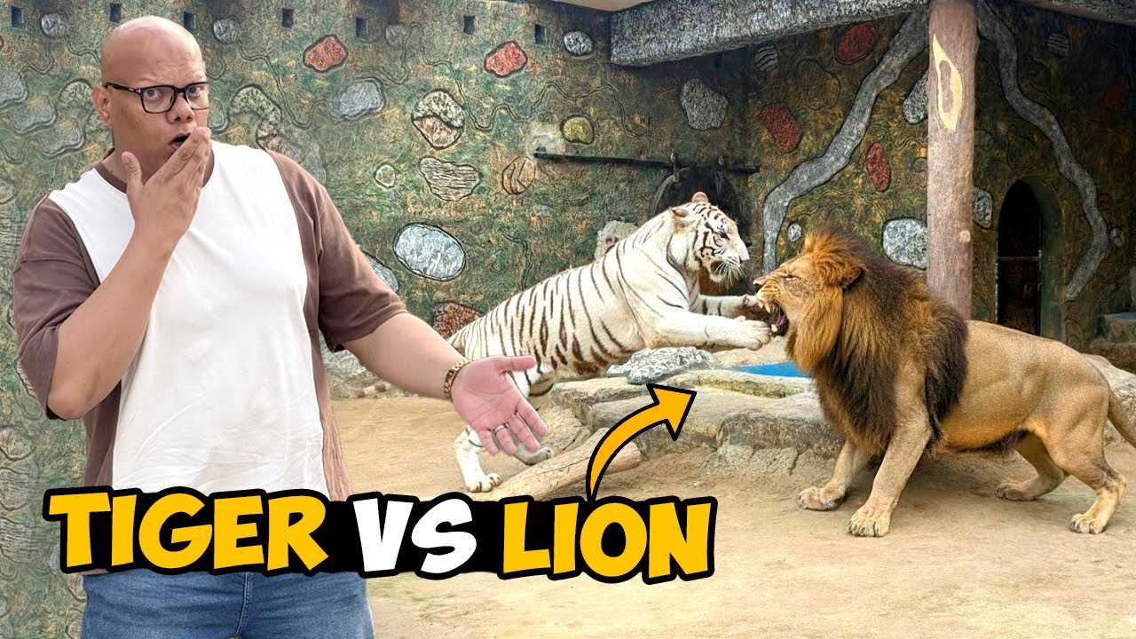 Tiger vs Lion Kaun Zyada Tez Hai? 🦁🐅 Horse Riding at Farm 🐎 | BT Farm Stories