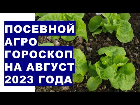 Посевной агрогороскоп на август 2023 года. Посівний агрогороскоп на серпень 2023 року