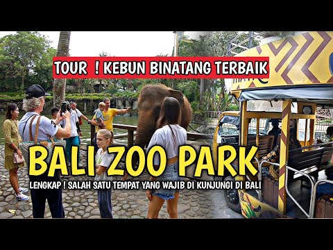 Video: Penerangan dan foto Zoo Bali (Bali Zoo) - Indonesia: Pulau Bali