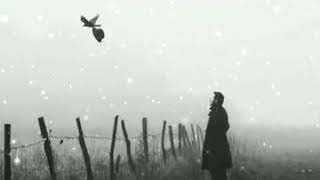 Whatsapp Durum Video. Whatsapp Statusları