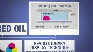 Etulipa's revolutionary display technology can lift the ban on digital billboards.