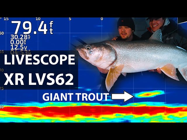 LiveScope's 'Perspective' shines new light on fishing electronics