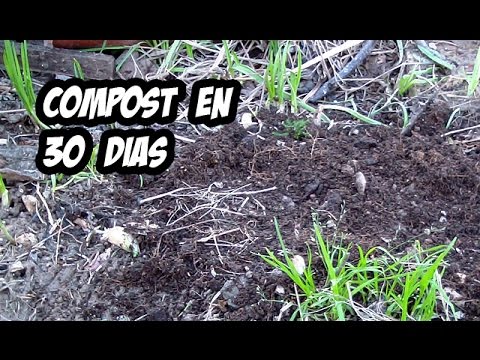 Como hacer Compost en Solo 30 dias | Experimentos
