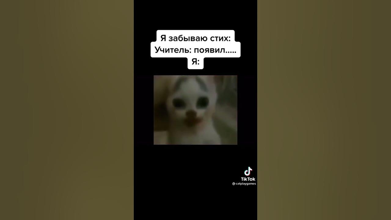 #мем #мемы #мемасики #меме #россия #5813 - YouTube