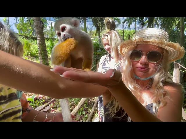 Monkey Jungle - Land Excursions - ResortsDR.com