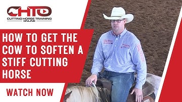 How To Get The Cow To Soften A Stiff Cutting Horse