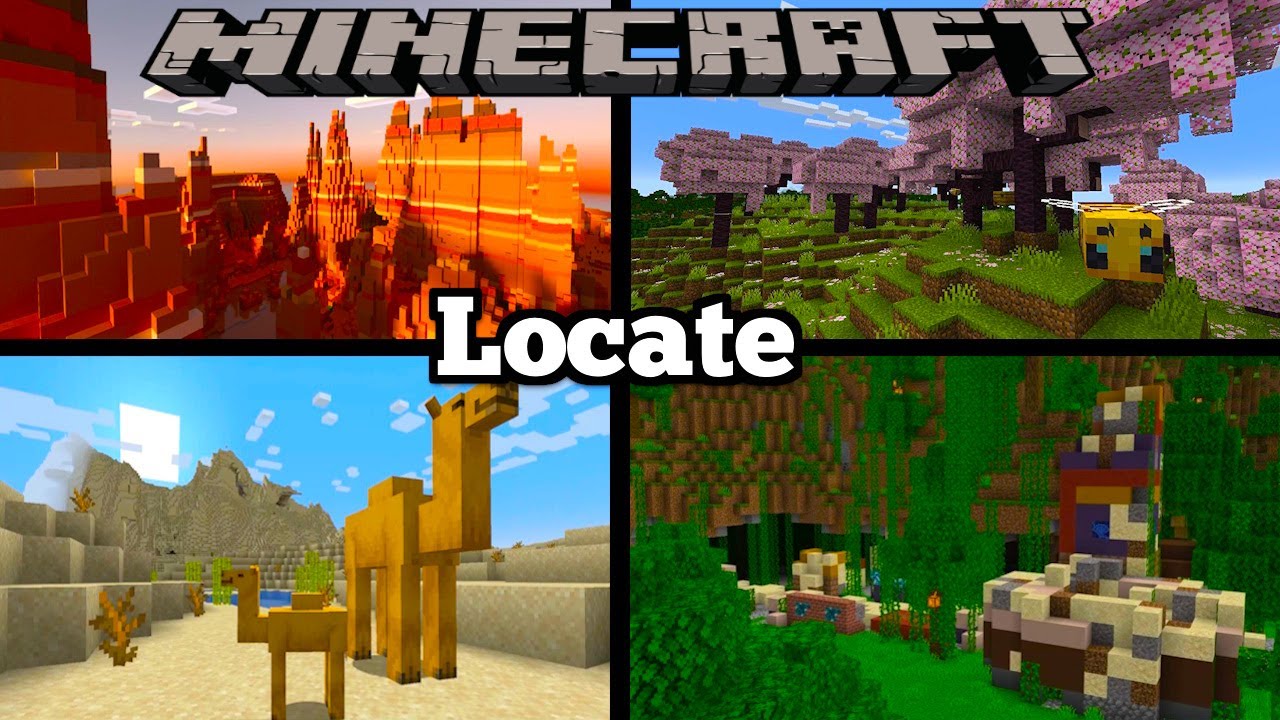 How To Use The Locate Command