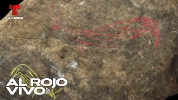 Hallan un libro de animales de hace 13 mil años en una excavación arqueológica