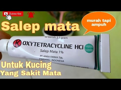 Mengobati Mata Kitten Dengan Salep Mata Manusia || Murah tp Ampuh👍