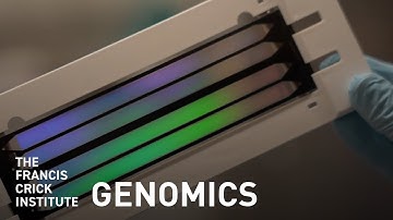 What Is Genomics?