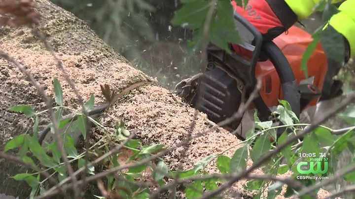 Severe Storms Leave Behind Trail Of Destruction In...