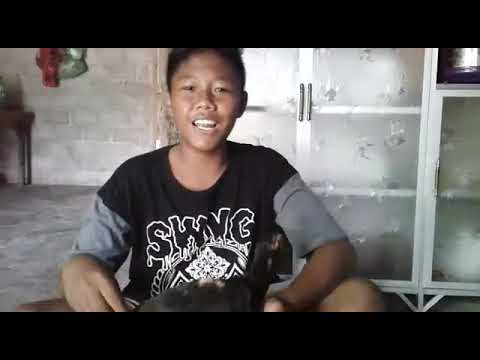 Batu Rante Tutorial cara memilih ayam batu rante - YouTube