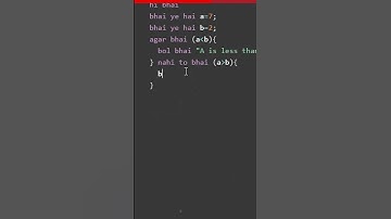Programming Language For DESIS!!!! #bhailang #programminglanguage #indianprogrammers