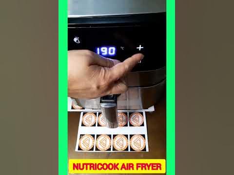 Nutricook Air Fryer 2 - Unboxing, Review, and a Few Tips 