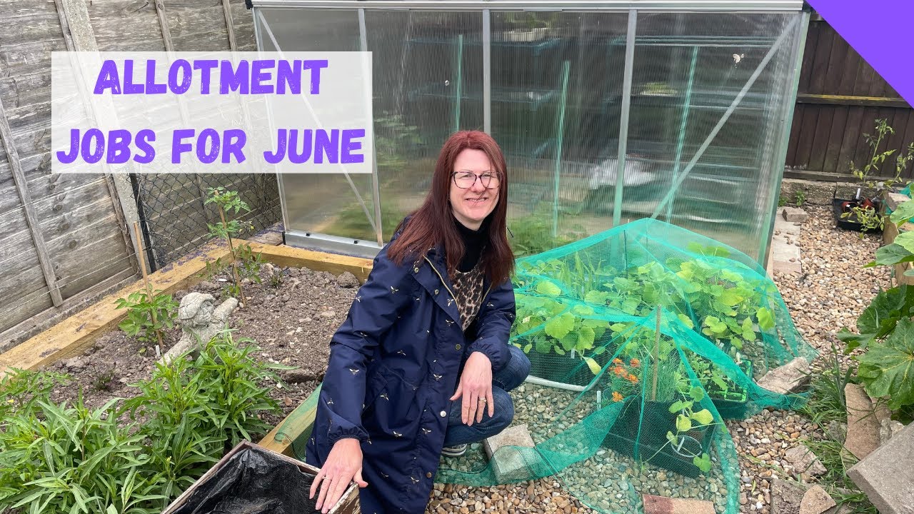 Allotment Jobs For June - Allotment Gardening For Beginners UK - YouTube