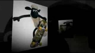 Baranek Shaun