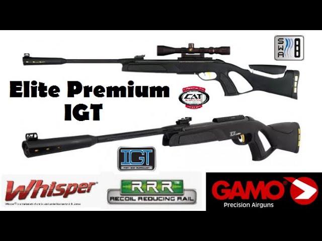 Carabina de aire comprimido Gamo Whisper IGT, Carabina de aire comprimido  Gamo Whisper IGT, Fusiles, Armas de aire comprimido