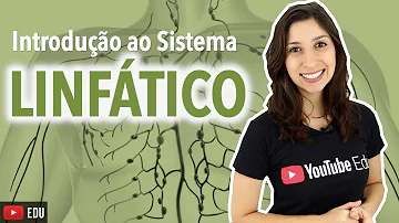 Qual é a função do sistema circulatório?