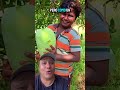 Un Mango Gigante Es Increíble Plantas Jardin 