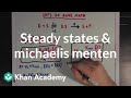 Steady states and the Michaelis Menten equation | Biomolecules | MCAT | Khan Academy