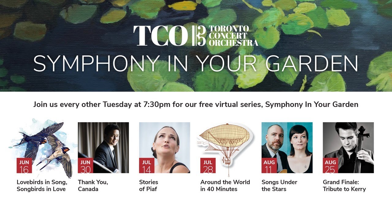 Toronto Concert Orchestra - Songs Under The Stars, August 11, 2020