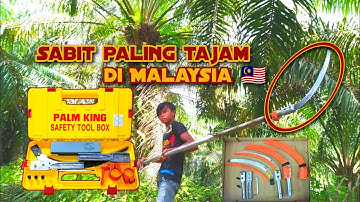 sabit pemotong buah sawit paling tajam di Malaysia