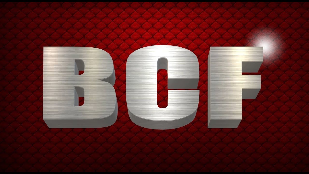 Bienvenue sur BUZZ, CLASH & FIGHT