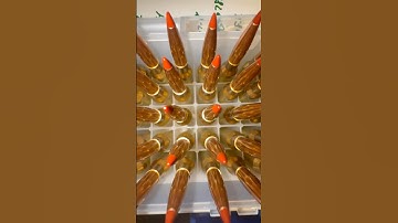 300 PRC Reload……Peterson brass, N570, 225 ELDM