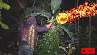 FIRE FLOWS! THE EXTRAORDINARY POWER OF THE PARAKANG