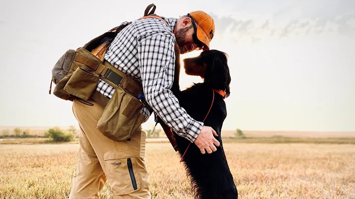 Ambulance Bird Camp Prairie Chickens | The Flush: ...