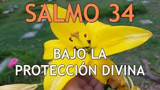 Psalm 34 Under Divine Protection Psalm 34 Under Divine Protection