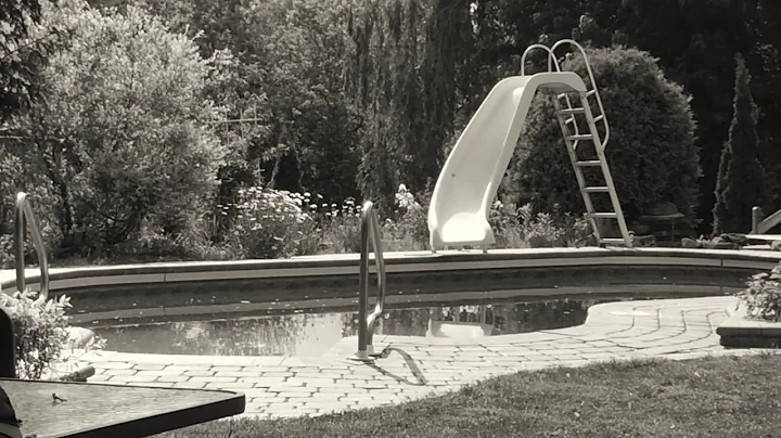 Official Book Trailer - My Heart in the Maple Tree