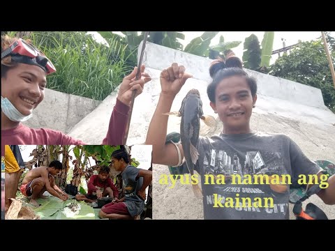 Video: Paghahasik Ng Parsnip