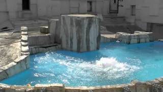 ホッキョクグマのアイラ 今日のファインプレー~Polar Bear's fine play