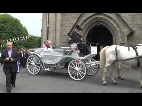 Irish Wedding Carriage by Carol Z's Travel