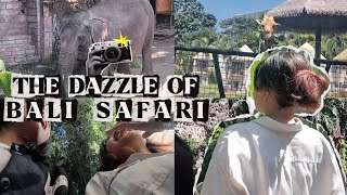 [a Vlog] Seized the Day at Bali Safari