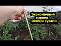 Экономичный парник своими руками