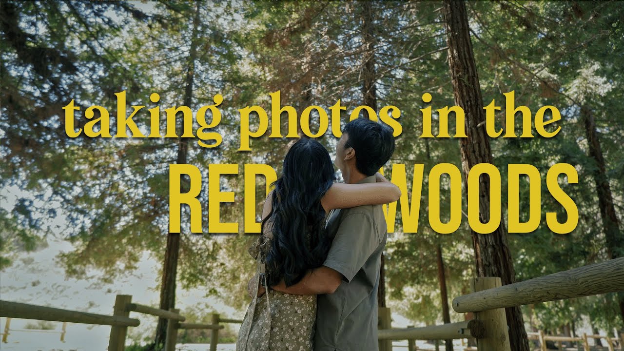 we did a photoshoot in the redwoods for our anniversary