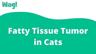 Fatty Tissue Tumor in Cats | Wag! screenshot 2