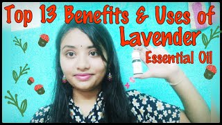 Top-13 Benefits & Uses of Lavender Essential Oil | How to use Lavender Essential Oil for benefits