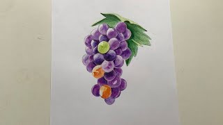 Виноград.Как нарисовать.Цветными карандашами.Для Начинающих. How to draw fruit.Draw the grapes.