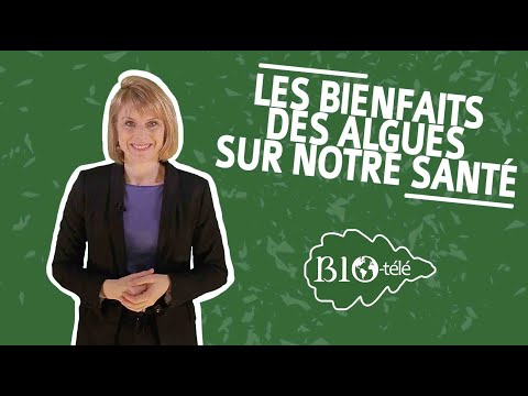 Chlorella et spiruline : deux types d'algues à forte densité nutritionnelle #2