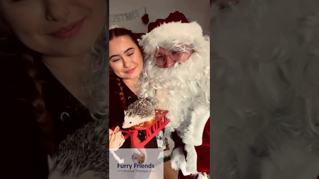 Santa came to a furry friends animal therapy visit today!