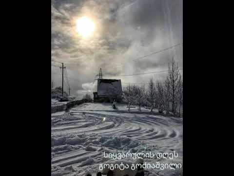 Gogita Godziashvili გოგიტა გოძიაშვილი სიყვარულის დღეს