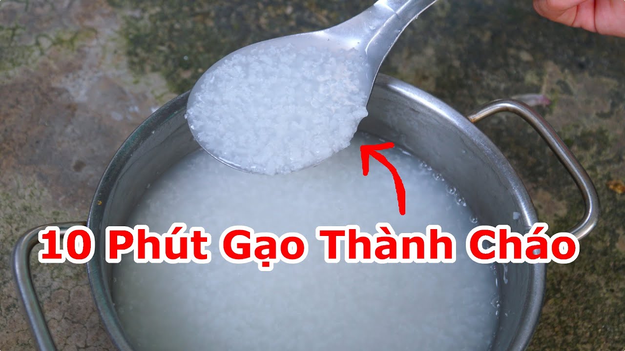 Cách Nấu Cháo Cực Nhanh 10 Phút Gạo Nở Nát Liền , Tiết Kiệm Thời Gian Và Gas / Mẹo Nấu Cháo Nhanh Nở