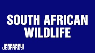 South African Wildlife  Category  Jeopardy