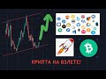 Крипта на взлете? или перед новым падением? Биткоин