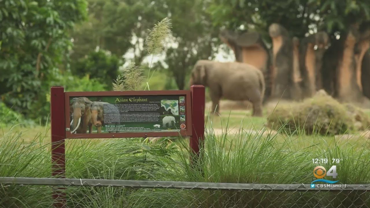 Miami Attractions & Museum MonthS Offer Discounts, BOGOs On Fun Things To Do