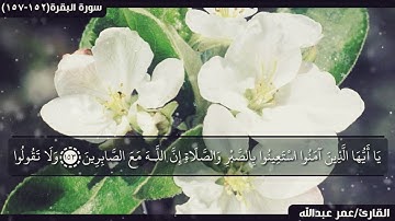 القارئ/عمر عبدالله..تلاوه عراقية ماتيسر من سورة البقرة